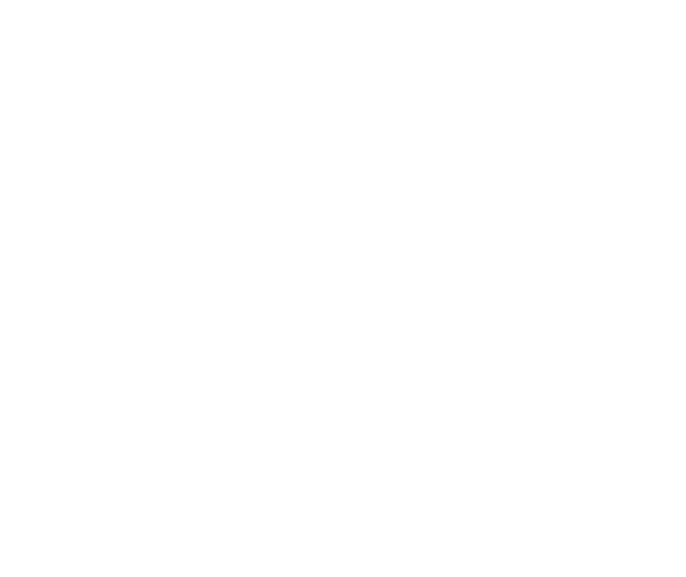 Area Agencies on Aging (AAA) 