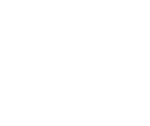 Bariatric Wheelchair  Transport 