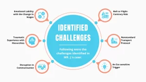 Identified Challenges