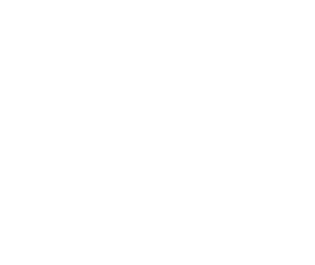 Managed Care Organization (MCO) Transportation Services 