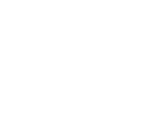 Paratransit & Group shuttle 