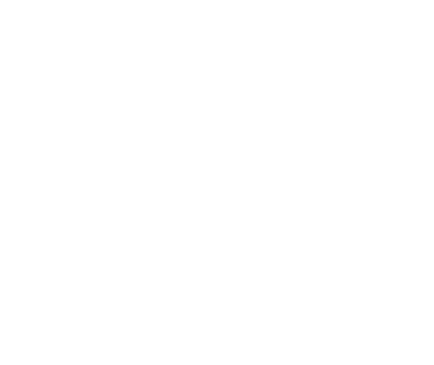 Sedan & livery Transportation Services