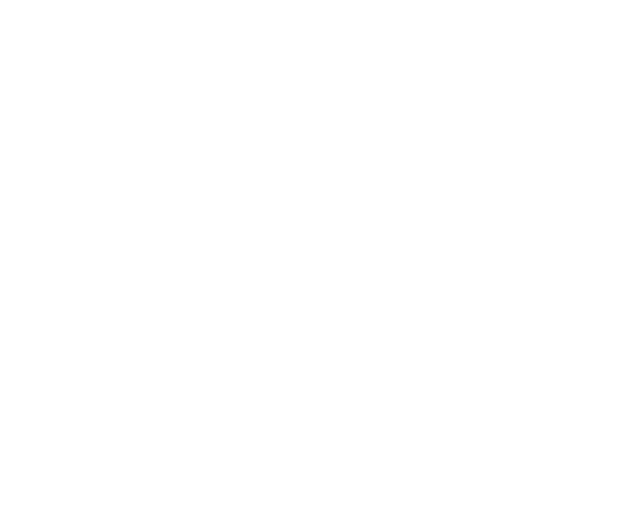 Area Agencies on Aging (AAA) 