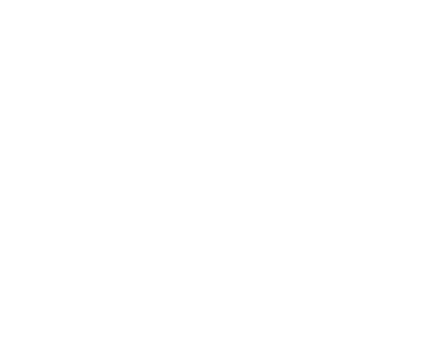 Bariatric Stretcher Transport 