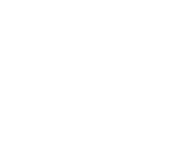 Re-entry / Correctional Transition Programs