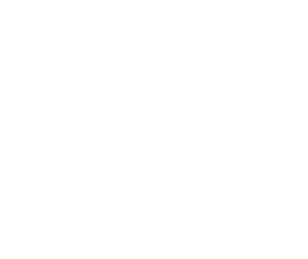 Special Needs Transport Services  