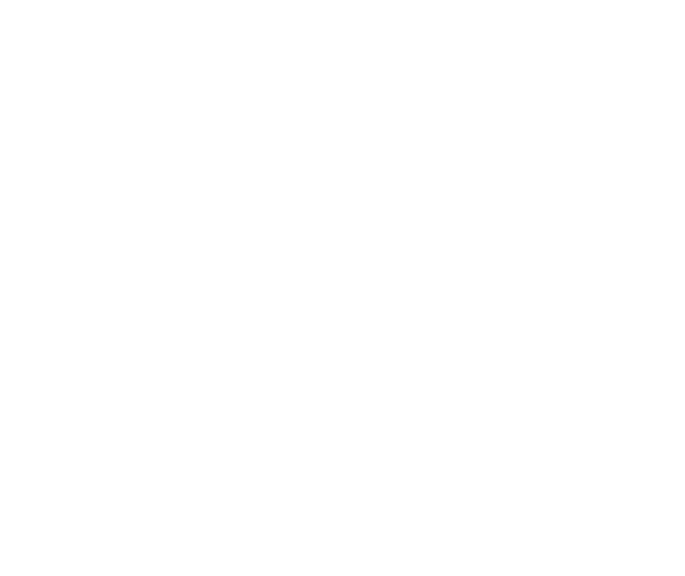 Stretcher Transport Services