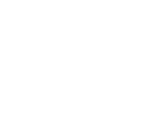 Support Services & Waiver Programs