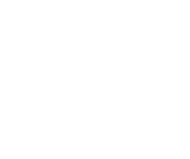 Wheelchair Transport Services