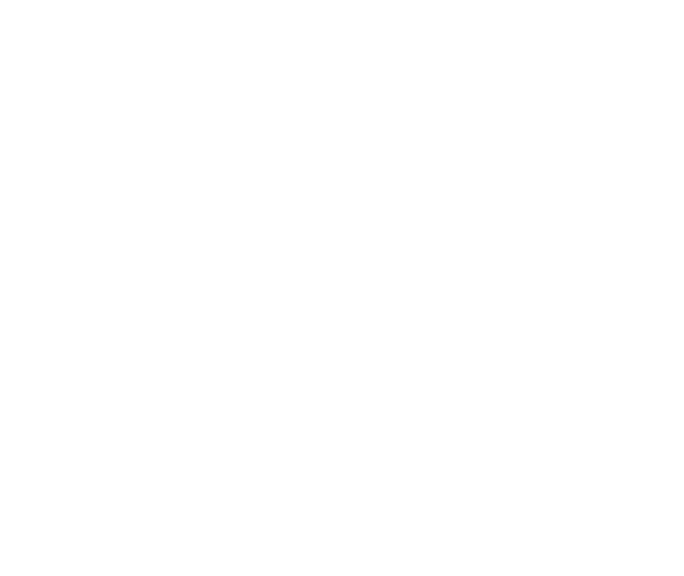 Youth & Foster care Agencies